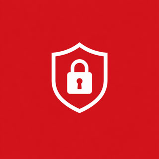 Digital Rights and Online Safety infographic view